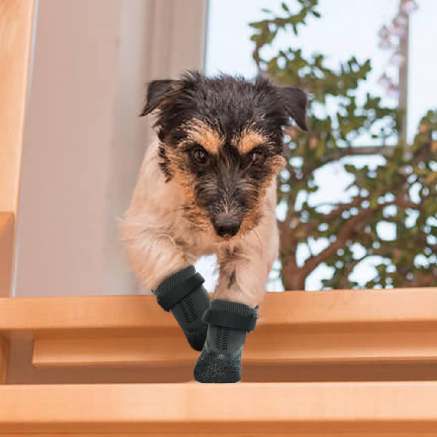Cozy Anti-Slip Dog Socks