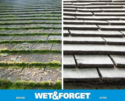 Easy Outdoor Stain Remover