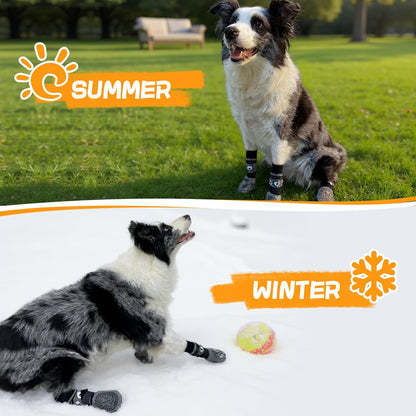 Pawsome Grip Socks Set