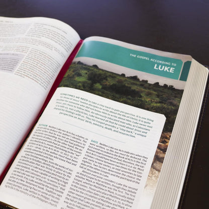 Inspiring Study Bible for Women