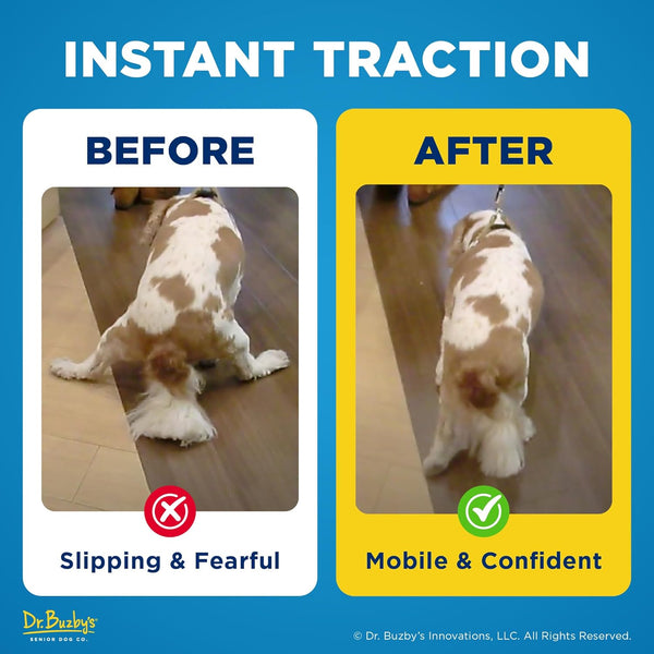 Paw Traction Grips for Dogs