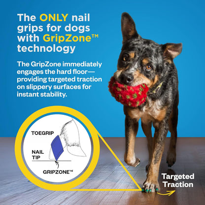 Paw Traction Grips for Dogs