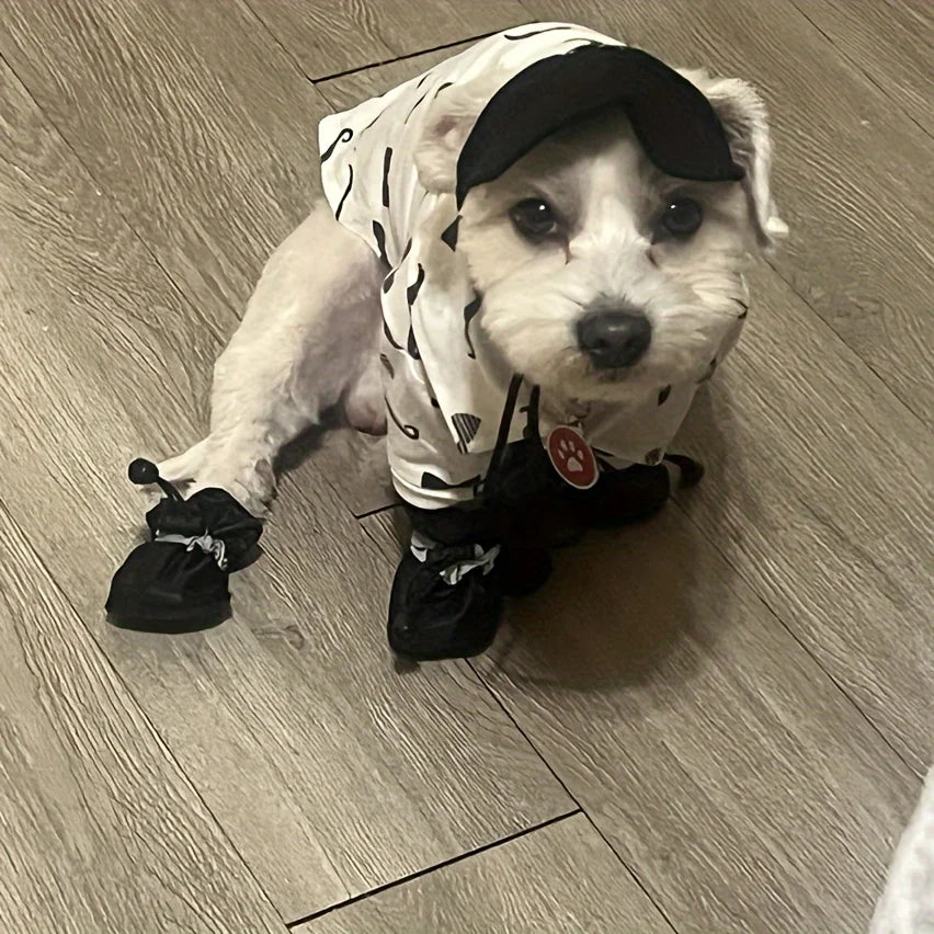 Cozy Paws Dog Boots